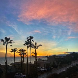 Meet your Posher, Dylan